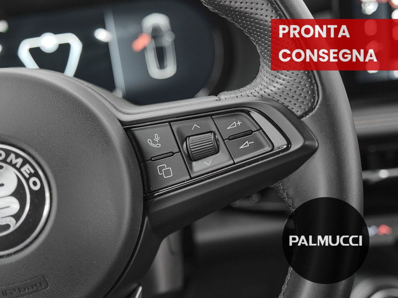 Alfa Romeo Tonale usata a Prato (7)