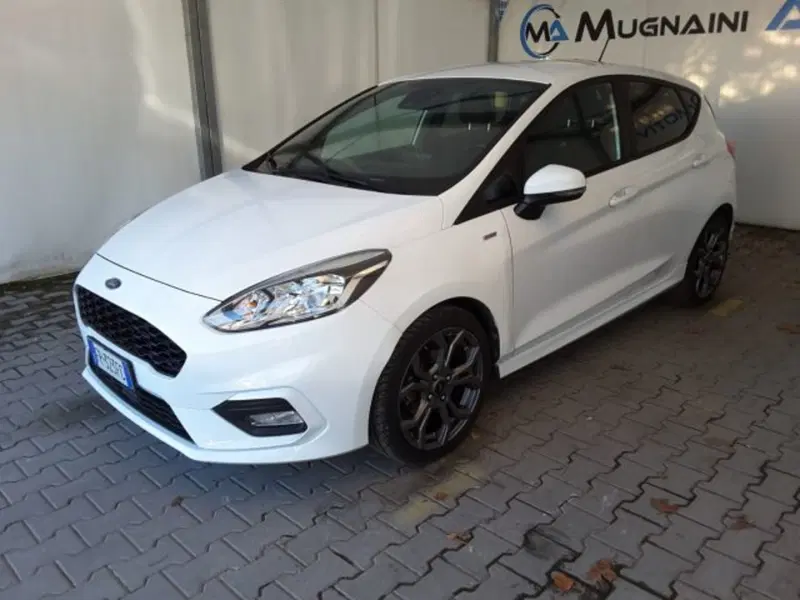 Ford Fiesta usata a Firenze (3)
