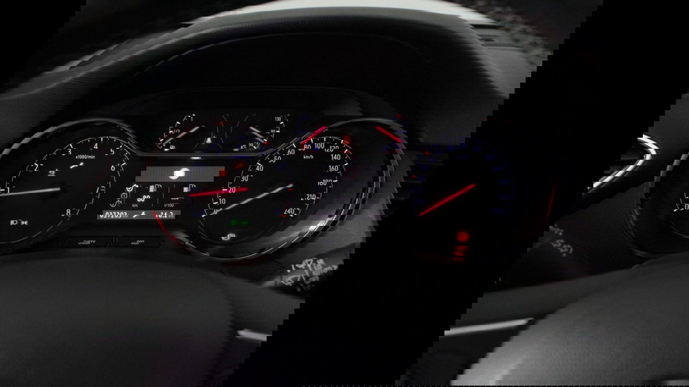 Opel Crossland usata a Palermo (10)