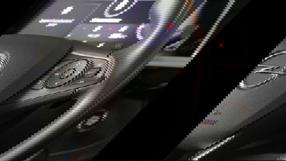 Opel Grandland usata a Palermo (9)