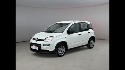 Fiat Panda 1.0 firefly hybrid s&amp;s 70cv 5p.ti del 2023 usata a Palermo