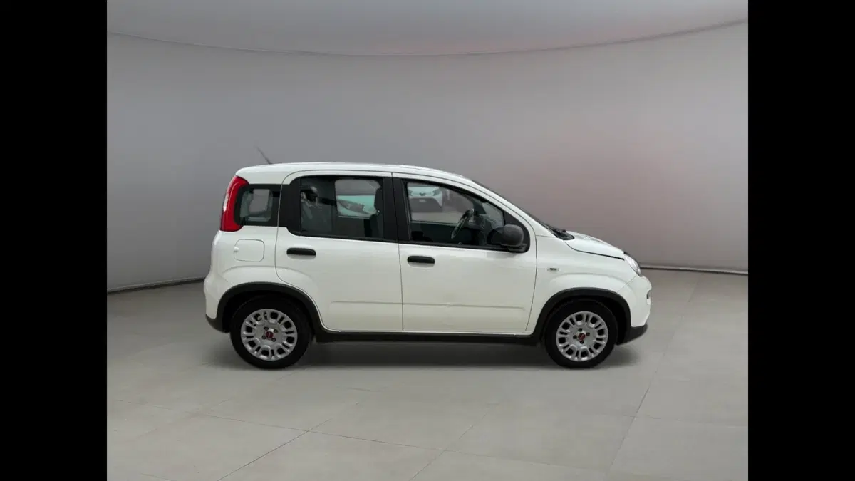 Fiat Panda usata a Palermo (13)
