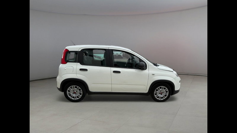 Fiat Panda usata a Palermo (13)