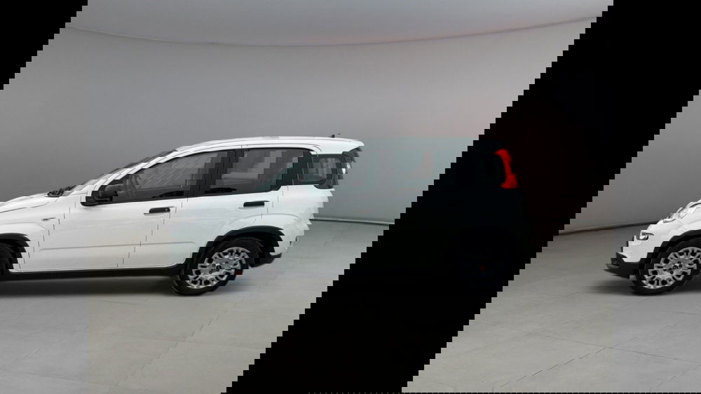 Fiat Panda usata a Palermo (2)