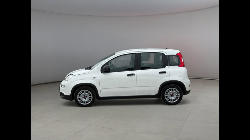 Fiat Panda usata a Palermo (2)