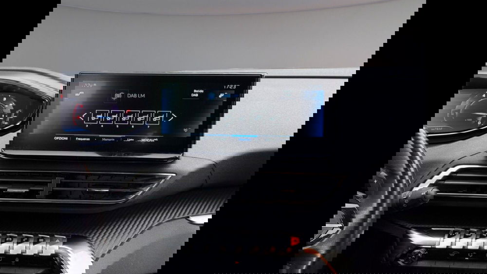 Peugeot 3008 usata a Palermo (15)