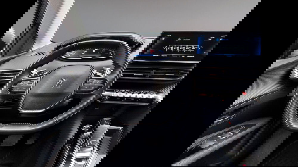 Peugeot 3008 usata a Palermo (9)