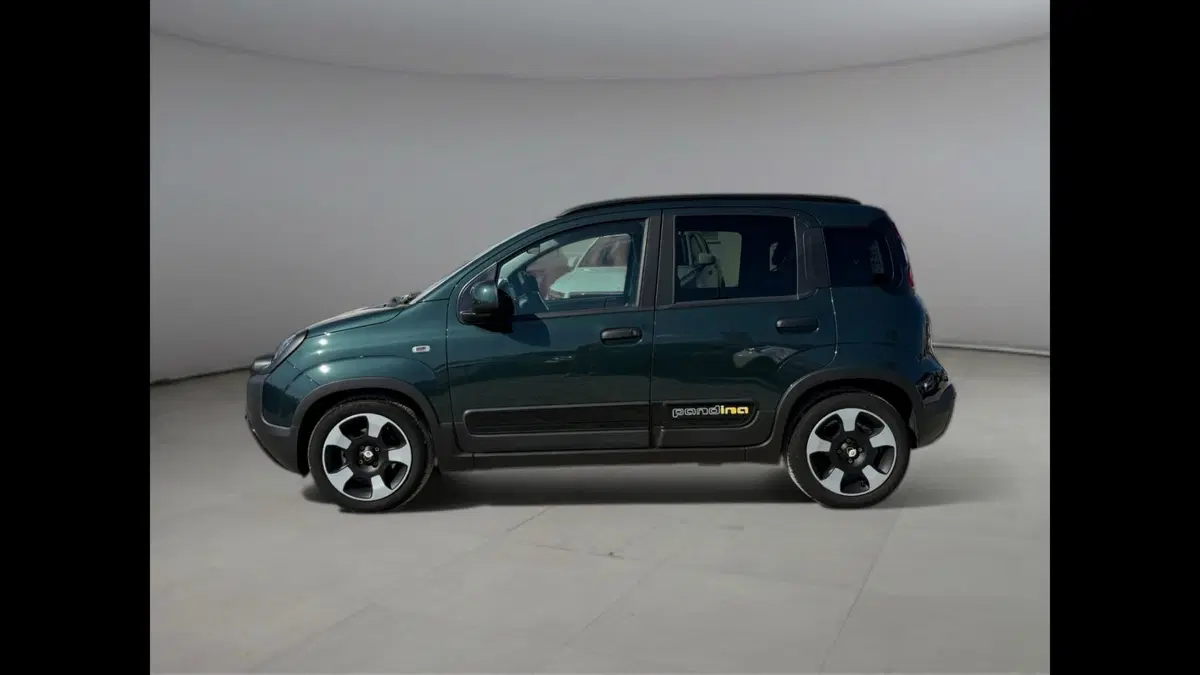 Fiat Pandina usata a Palermo (2)