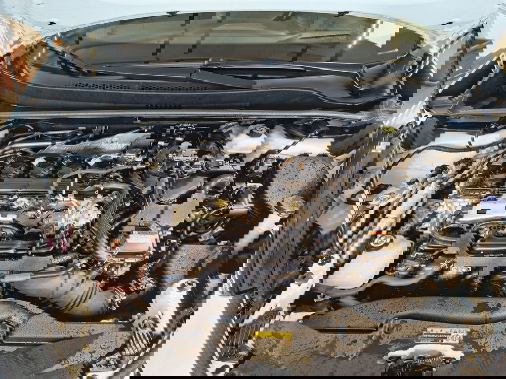 Toyota Toyota C-HR usata a Catanzaro (13)