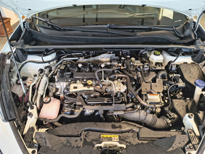 Toyota Toyota C-HR usata a Catanzaro (13)