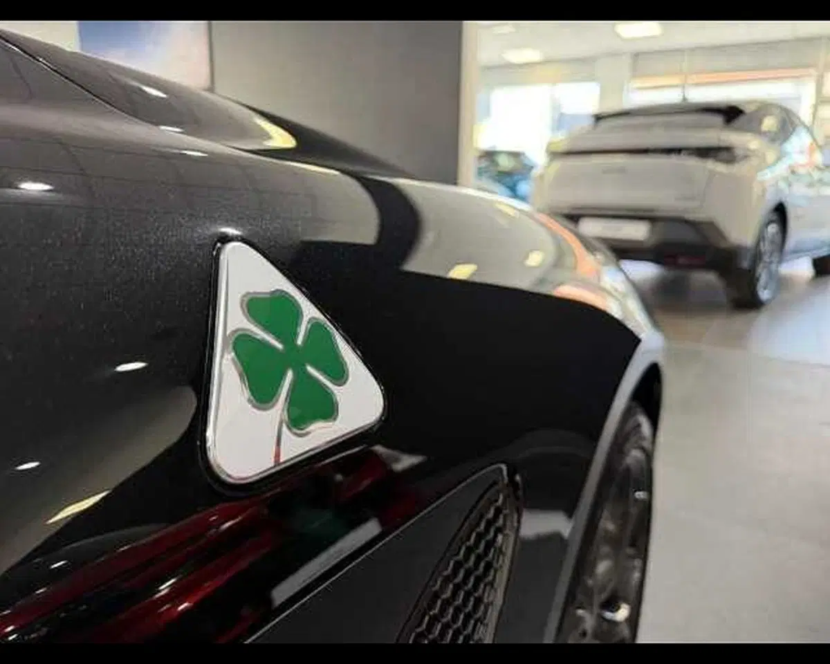 Alfa Romeo Giulia usata a Alessandria (4)
