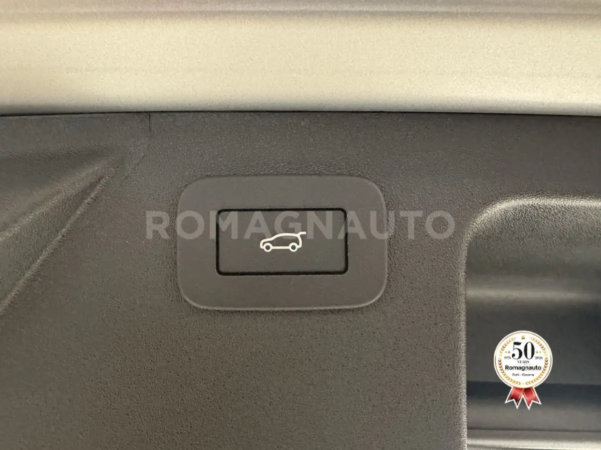 Land Rover Discovery Sport usata a Forlì-Cesena (15)