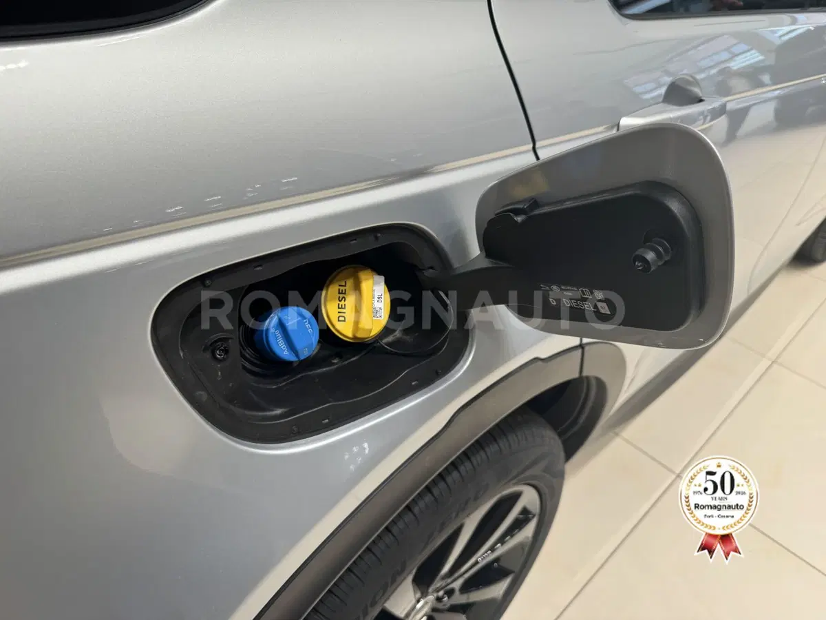 Land Rover Discovery Sport usata a Forlì-Cesena (16)