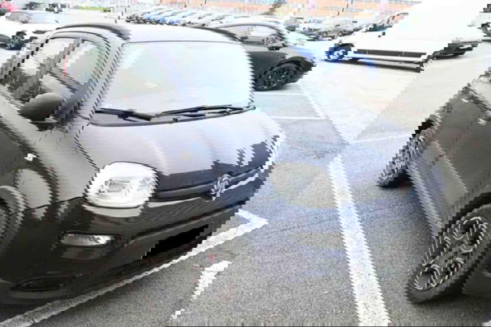 Fiat Panda usata a Torino (2)