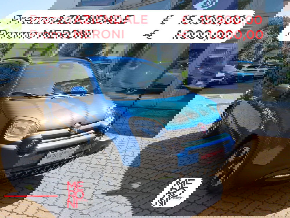 Fiat Pandina usata a Monza e Brianza