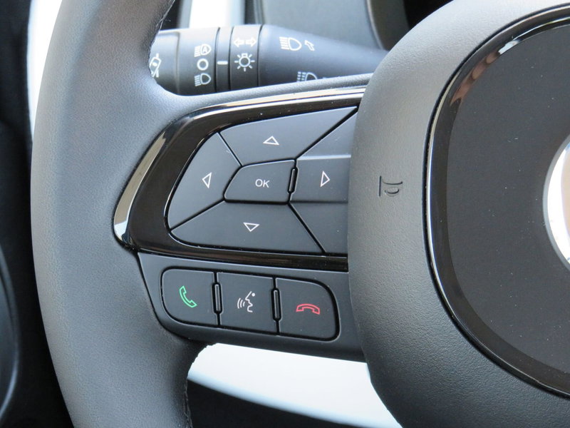 Fiat Pandina usata a Monza e Brianza (15)