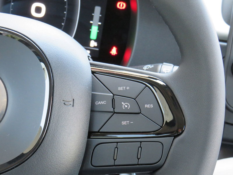 Fiat Pandina usata a Monza e Brianza (16)