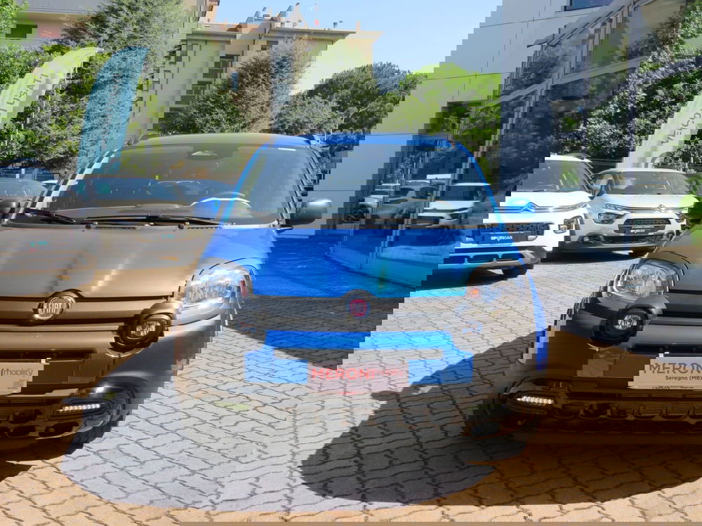 Fiat Pandina usata a Monza e Brianza (9)