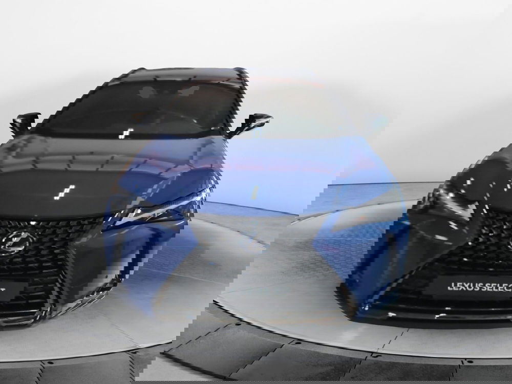 Lexus UX usata a Bologna (2)