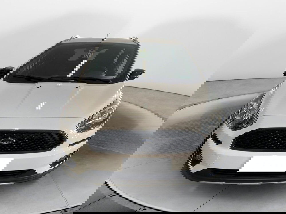 Ford Fiesta usata a Pisa (2)