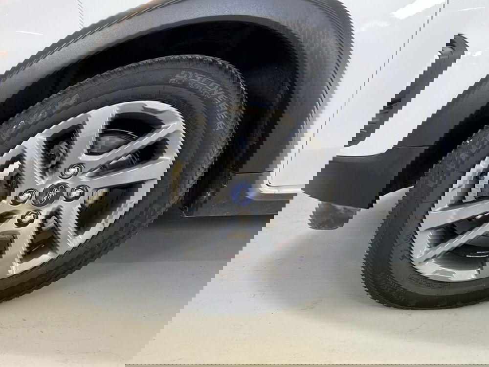 Ford Fiesta usata a Pisa (5)