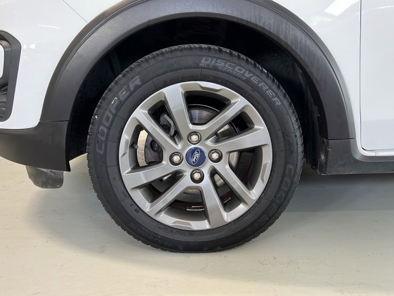 Ford Fiesta usata a Pisa (5)
