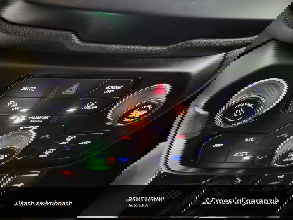 Jeep Renegade usata a Catanzaro (15)