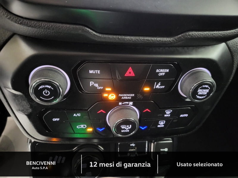 Jeep Renegade usata a Catanzaro (15)