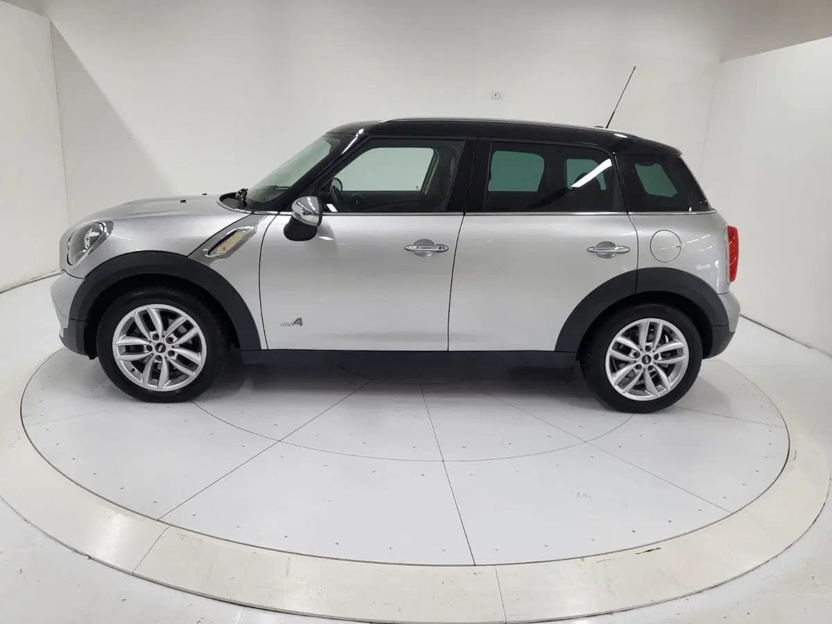 MINI Mini Countryman usata a Catanzaro (4)