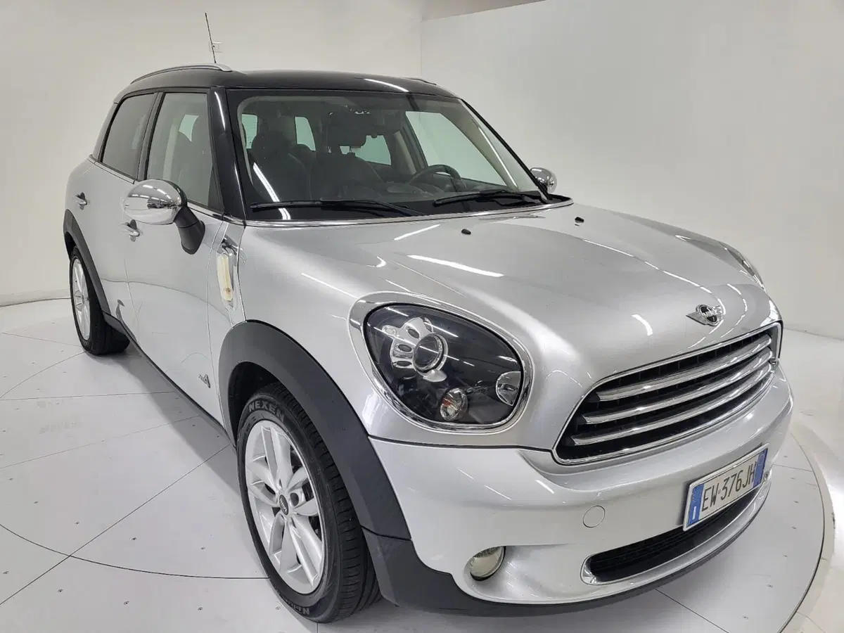 MINI Mini Countryman usata a Catanzaro (6)