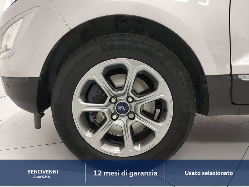 Ford EcoSport usata a Catanzaro (12)
