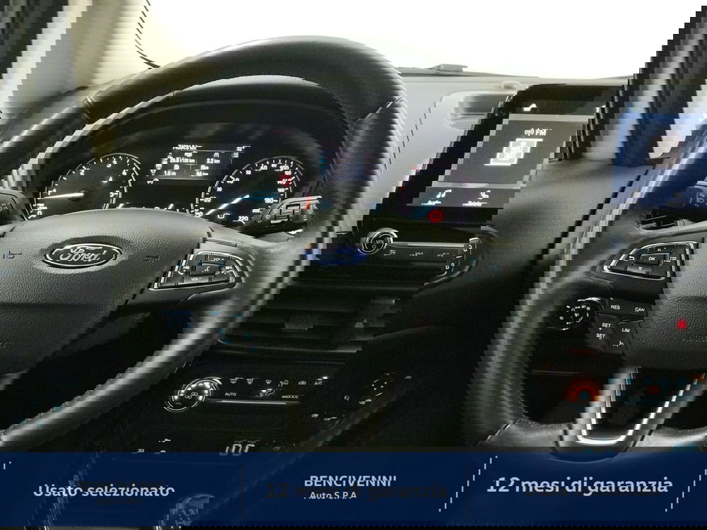 Ford EcoSport usata a Catanzaro (15)