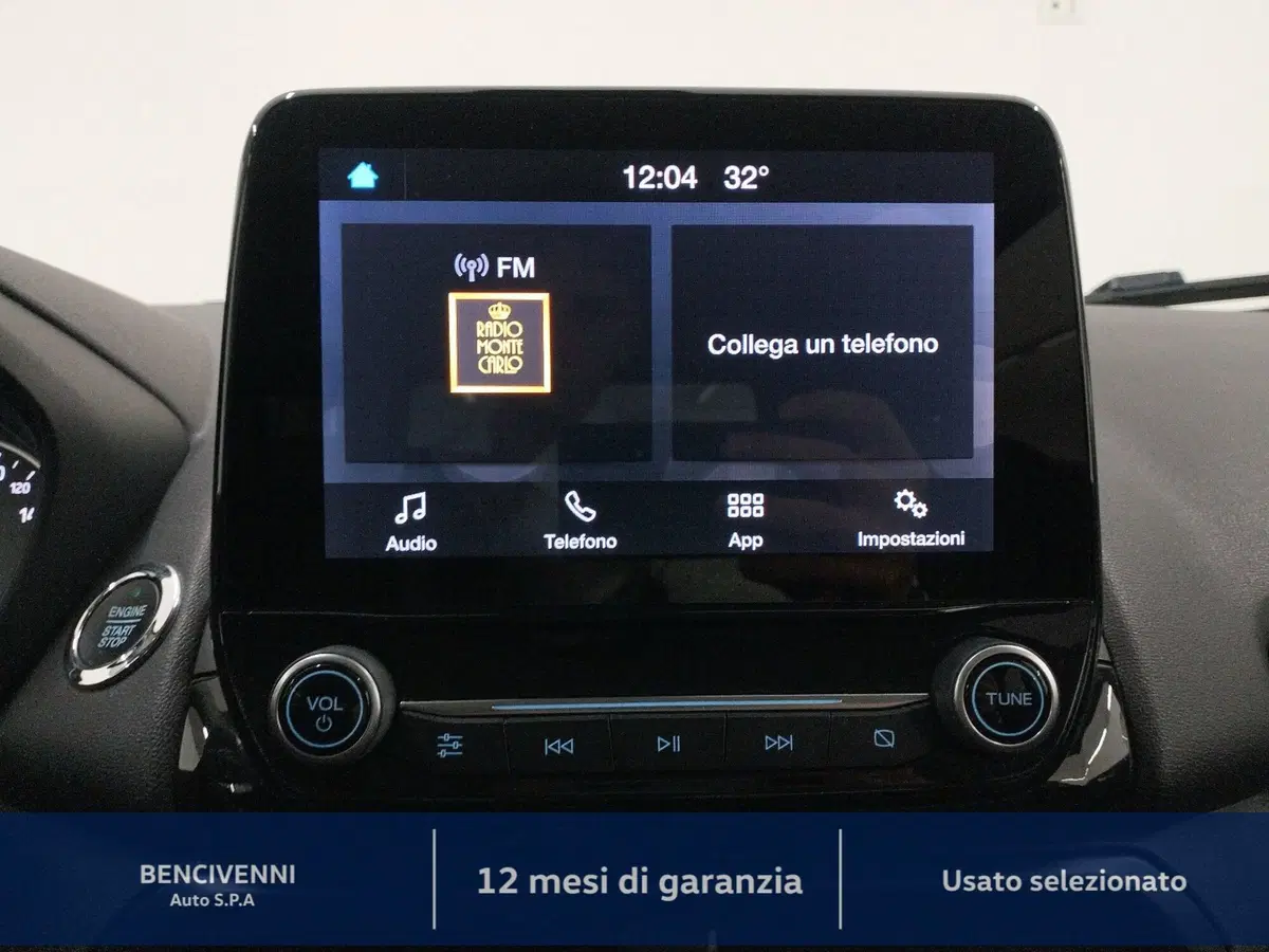 Ford EcoSport usata a Catanzaro (19)