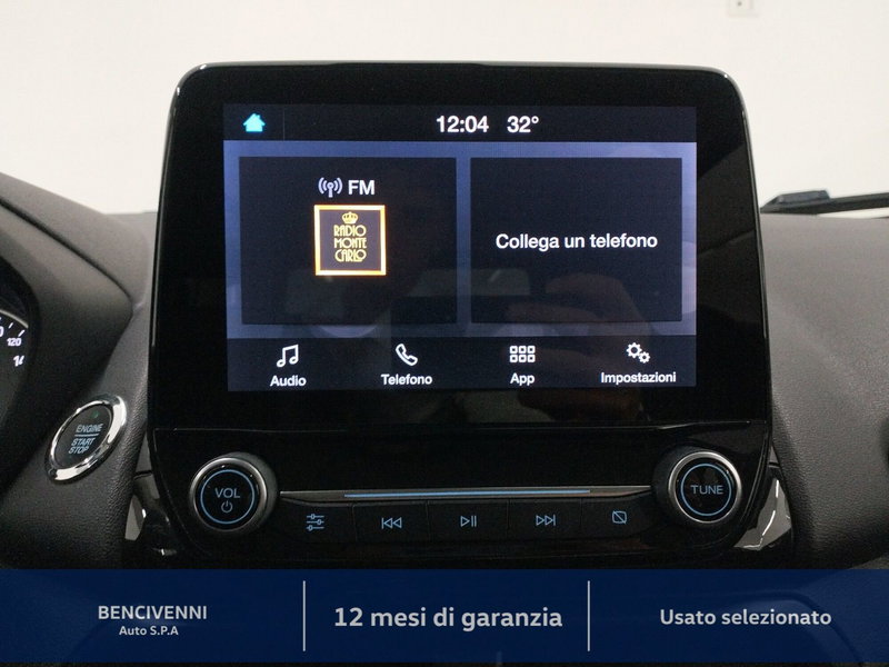 Ford EcoSport usata a Catanzaro (19)