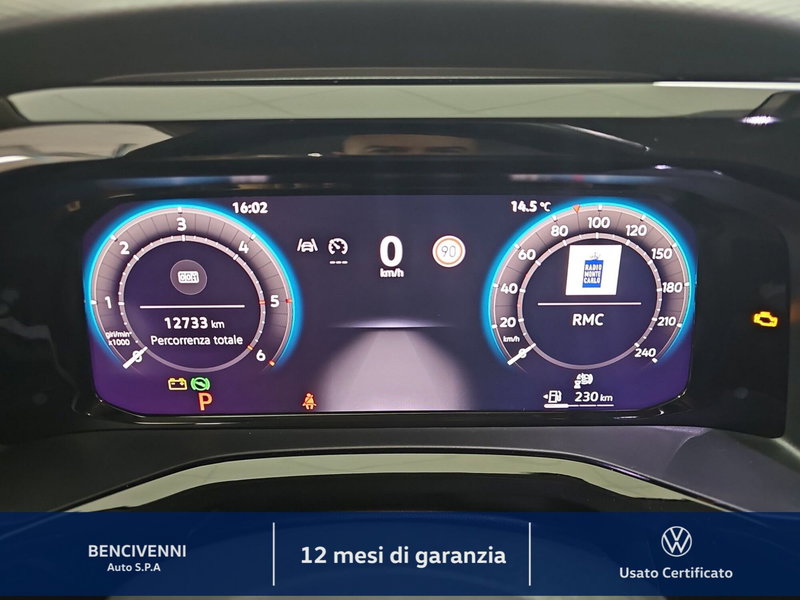 Volkswagen Multivan usata a Catanzaro (19)