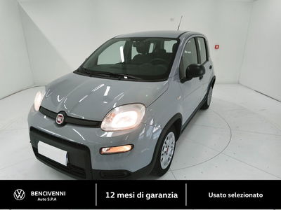 Fiat Panda Cross Cross 1.0 FireFly S&amp;S Hybrid del 2022 usata a Catanzaro