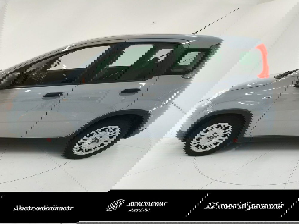 Fiat Panda Cross usata a Catanzaro (12)