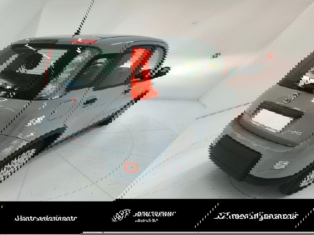 Fiat Panda Cross usata a Catanzaro (6)