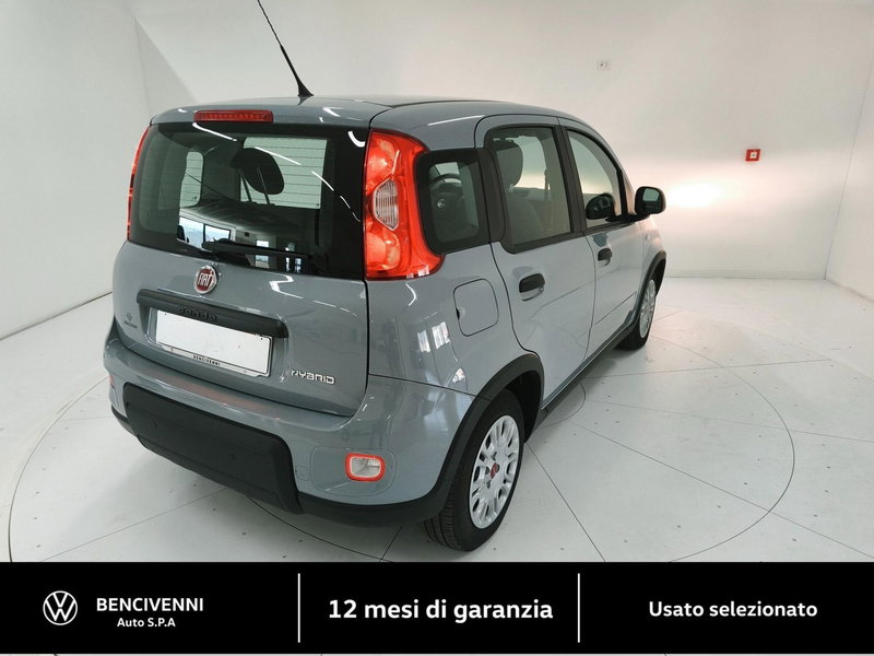 Fiat Panda Cross usata a Catanzaro (6)