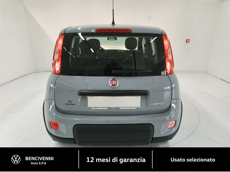 Fiat Panda Cross usata a Catanzaro (7)
