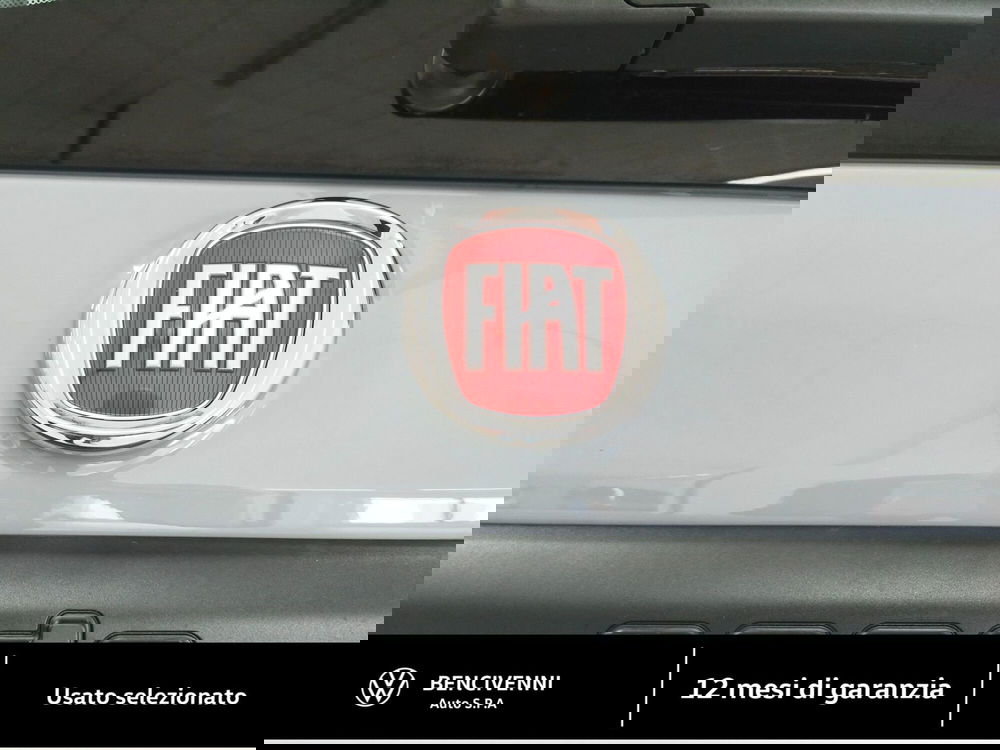 Fiat Panda Cross usata a Catanzaro (8)