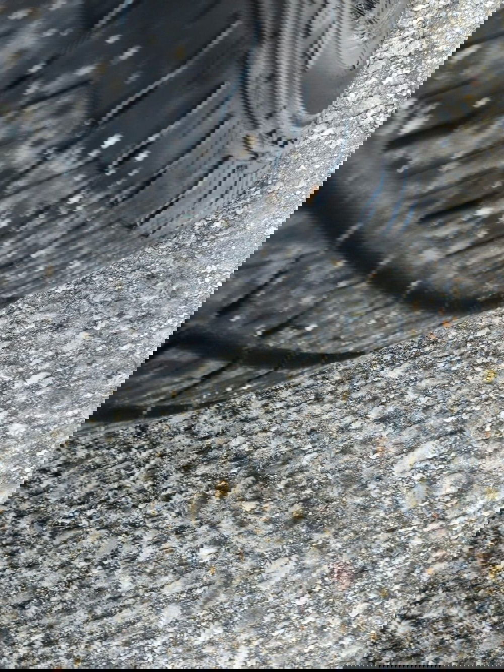 Fiat Doblò Furgone usata a Foggia (18)