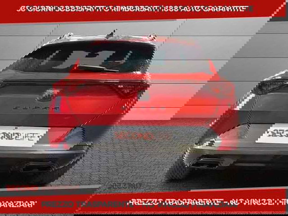 Cupra Formentor usata a Chieti (5)