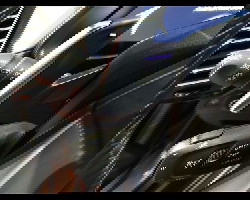 Ds DS 7 usata a Cuneo (19)