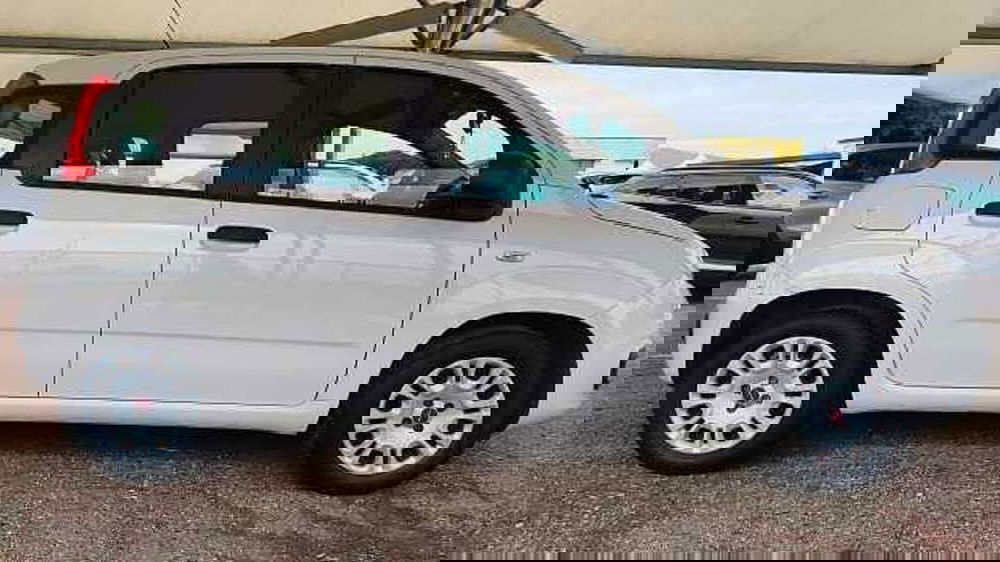 Fiat Panda usata a Firenze (10)