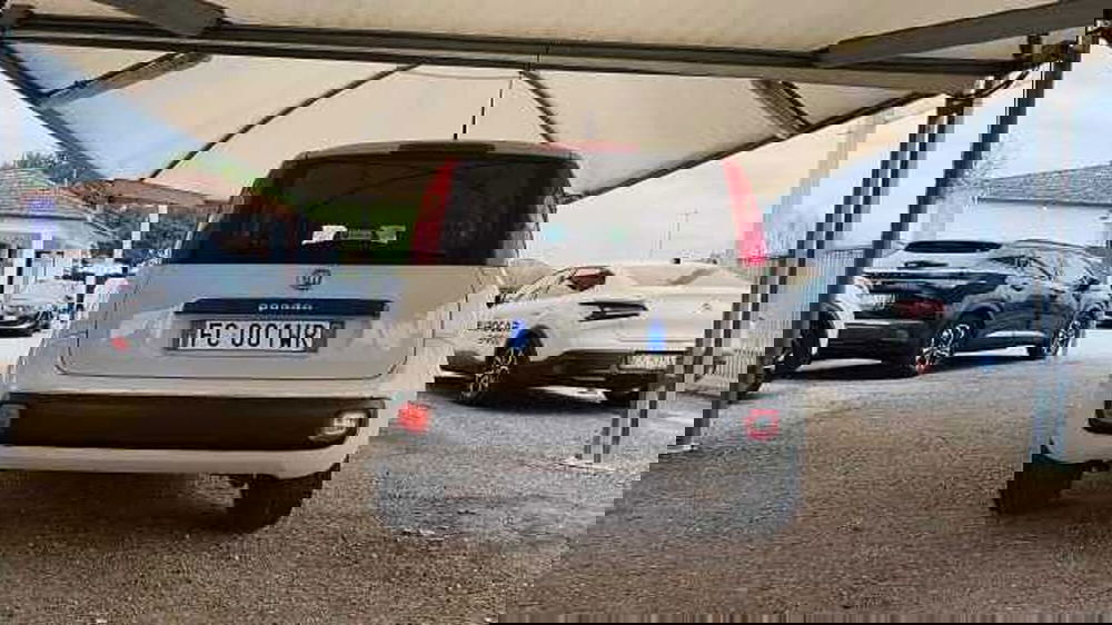 Fiat Panda usata a Firenze (7)