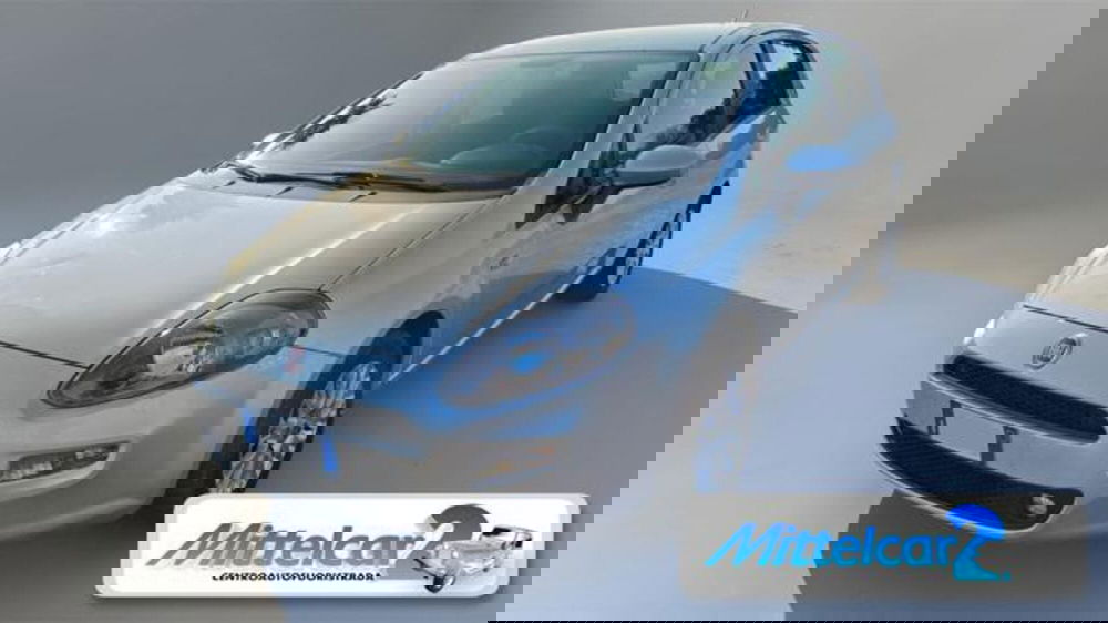 Fiat Punto usata a Udine