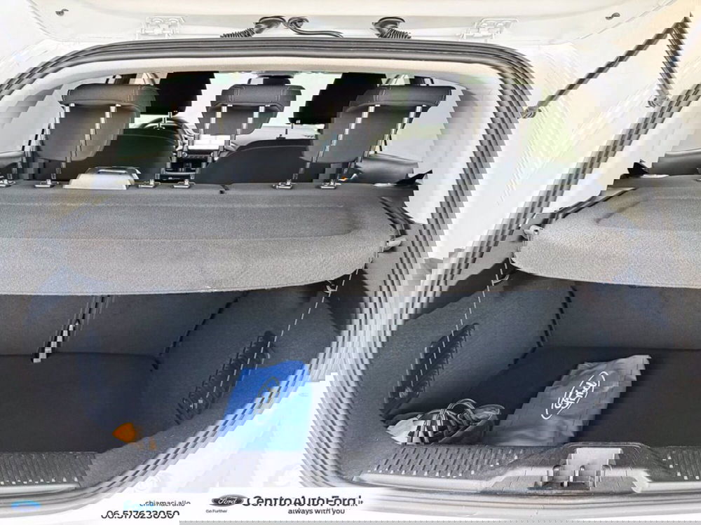 Ford Fiesta usata a Roma (11)