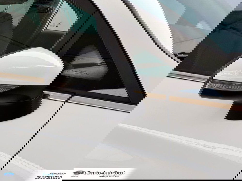 Ford Fiesta usata a Roma (15)