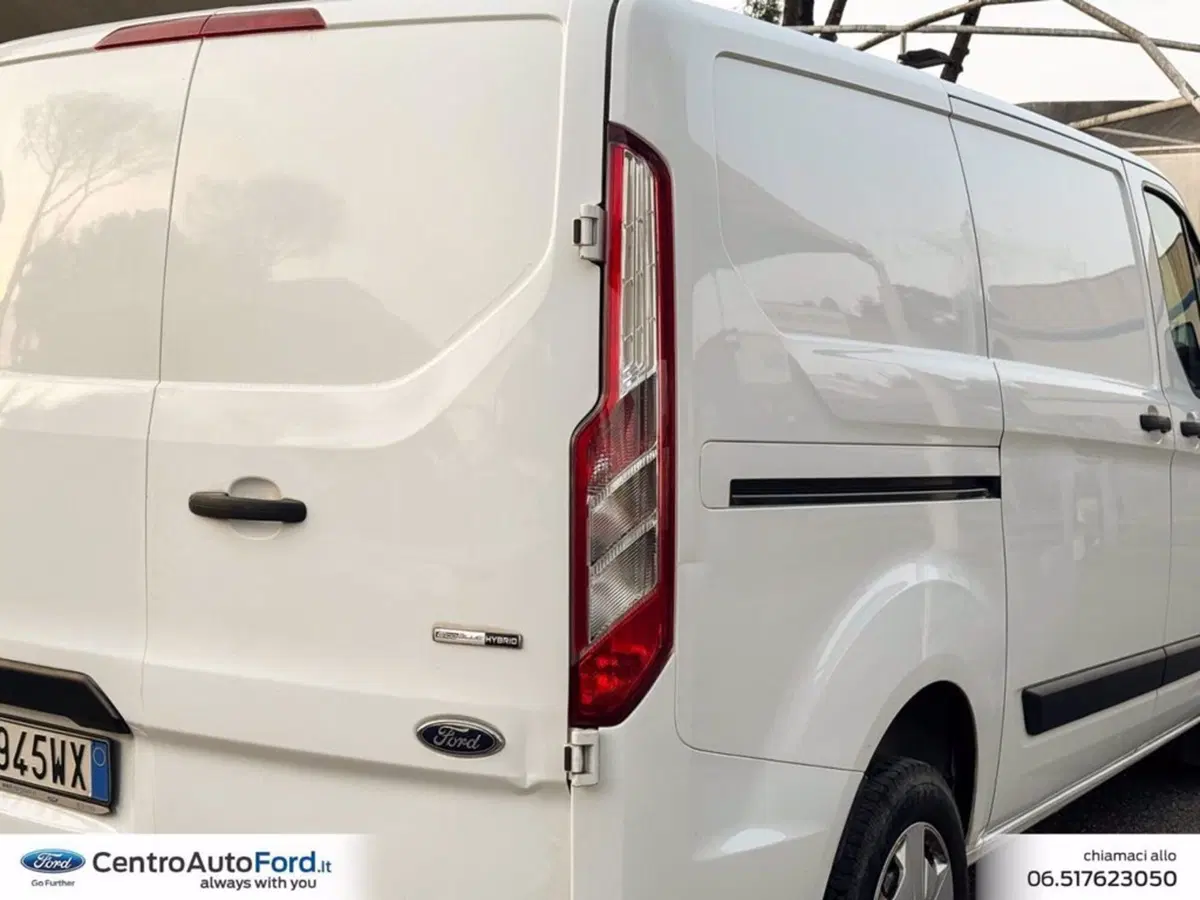 Ford Transit Custom Furgone usata a Roma (14)